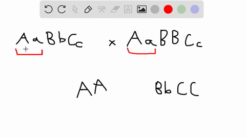 what-is-the-probability-that-the-parents-aabbcc-and-aabbcc-will-produce-3-polnts-the-offspring-aabbcc-youranswer-67285