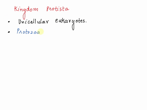 animal-like-protists-are-called-protozoa-true-false-32178