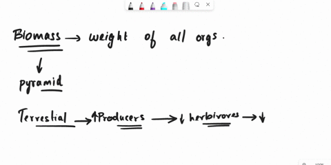 why-the-pyramid-of-biomass-in-sea-often-invested-explain-class-12th-in-biology-72967