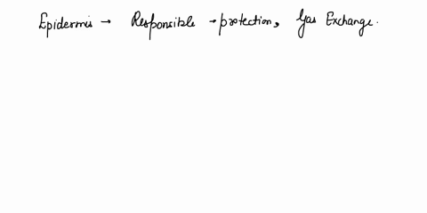 your-book-look-for-patterns-not-perfection-use-your-textbook-to-fill-in-the-rest-of-the-table-locations-where-the-tissue-is-found-in-the-body-functions-type-location-simple-squamous-epitheli-36864
