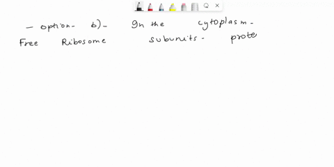 question-17-1-point-where-are-the-free-ribosome-subunits-made-ain-the-smooth-re-bin-the-core-cin-the-golgian-complex-din-the-rough-re-ein-the-mitochondria-question-25-1-point-glycogen-is-mai-82423