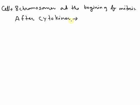 if-a-cell-has-8-chromosomes-at-the-beginning-of-mitosis-how-many-chromosomes-will-it-have-after-cytokinesis-80795