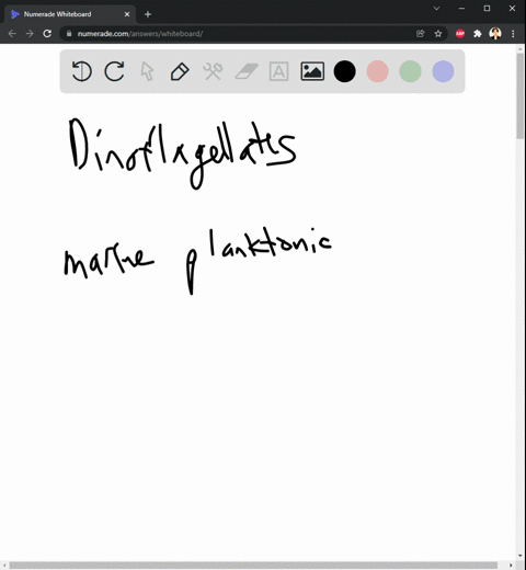 1-which-of-the-following-is-true-of-dinoflagellates-a-they-are-primary-producers-b-they-cause-algal-blooms-c-they-are-being-utilized-to-make-biofuels-via-fermentation-of-sewage-d-their-cell-73095
