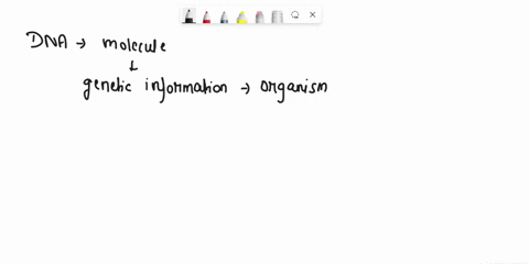 12-which-of-the-following-concepts-refers-to-the-observable-characteristics-ofan-exposure-appearance-of-genetic-organism-multiple-choice-dna-genome-genotype-phenotype-11628