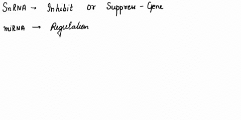 questlon-14-which-ofthe-fallowing-rna-molecules-are-capable-of-inhibiting-the-expression-of-genes-select-all-that-apply-snrna-mirna-sirna-trna-rrna-incrna-moving-to-another-question-will-sav-59468