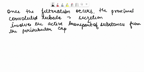 the-process-where-solutes-in-the-peritubular-capillaries-are-actively-transported-into-the-loop-of-henle-and-the-distal-convoluted-tubule-dct-is-called-excretion-filtration-c_-reabsorption-d-02457