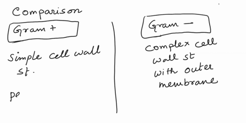 compare-and-contrast-cell-walls-in-gram-positive-and-gram-negative-bacteria-98902