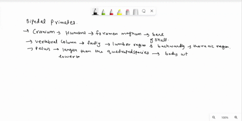 fill-in-the-following-table-bipedal-primate-nonbipedal-primate-cranium-vertebral-column-pelvis-legs-feet-95805