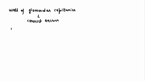podocytes-are-the-cells-present-on-outer-wall-of-bowmans-capsule-inner-wall-of-bowmans-capsule-neck-of-nephron-wall-of-glomerular-capillarie-70086