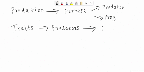 which-organisms-would-be-the-prey-for-the-hawk-a-rabbit-shrew-and-snake-b-rabbit-snake-and-grasshopper-c-shrew-snake-and-insect-eating-bird-d-grass-rabbit-and-insect-eating-bird-15252