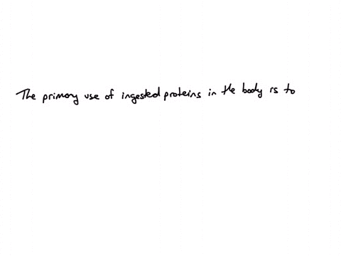 the-primary-use-of-ingested-proteins-in-the-body-is-to-_____-be-broken-down-into-amino-acids-that-are-used-to-build-proteins-and-nucleic-acids-within-the-body-be-broken-down-to-release-energ-69655