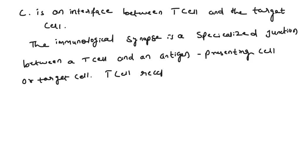 SOLVED MCQ 1 The immunological synapse a) is a specific region on