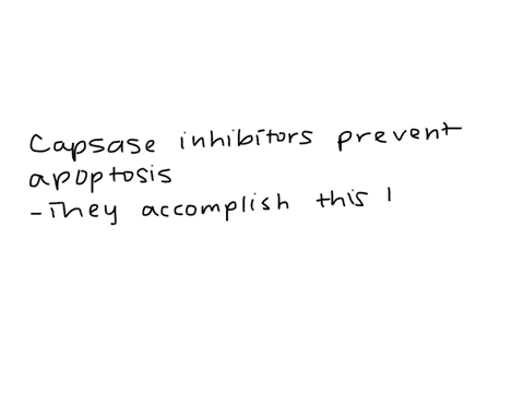 what-class-of-chemicals-prevents-apoptosis-01012