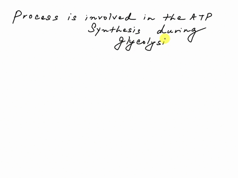 during-glycolysis-atp-is-produced-by-a-oxidative-phosphorylation-b-substrate-level-phosphorylation-2-05408