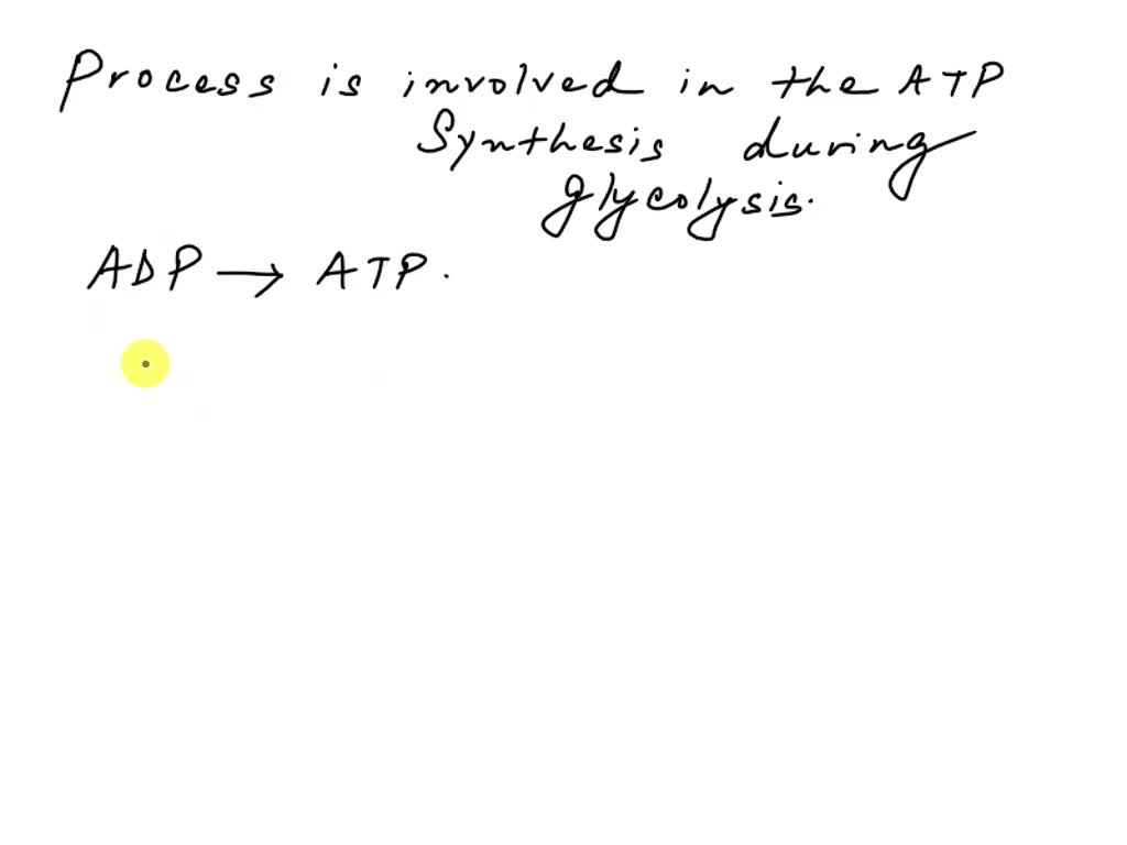 SOLVED During glycolysis, ATP is produced by a. oxidative