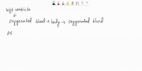 in-the-artery-leaving-the-left-ventricle-you-would-expect-to-find-oxygenated-blood-m-deoxygenated-blood-smaller-volume-of-blood-than-inanv-of-the-ather-vessels-icaving-the-heart-fte-lower-sy-85493