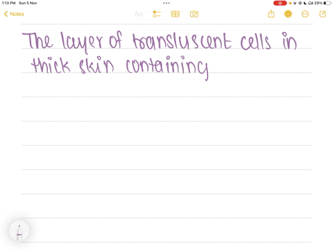 layer-of-translucent-cells-in-thick-skin-containing-dead-keratinocytes-stratum-basale-stratum-corneum-papillary-dermis-stratum-granulosum-stratum-lucidum-stratum-spinosum-reticular-dermis
