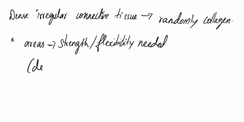 name-this-tissue-select-one-compact-bone-loose-connective-tissue-regular-dense-connective-tissue-irregular-dense-connective-tissue-33628