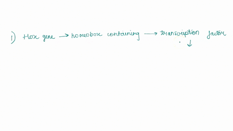 question-25-1-point-which-of-the-following-is-not-true-about-hox-genes-they-encode-signaling-proteins-important-in-organogenesis-they-help-organize-body-plans-all-animals-have-at-least-one-a-43564