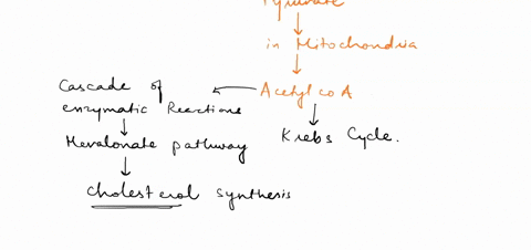 the-cholesterol-synthesized-by-cells-uses-which-component-of-the-glycolytic-pathway-as-a-starting-po-27177
