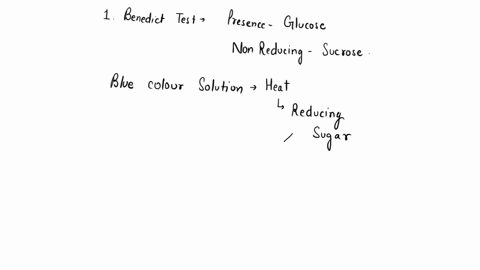 1-the-benedicts-test-is-used-to-indicate-the-presence-of-___________-1pt-2-the-biuret-test-is-used-to-indicate-the-presence-of-_________1pt-3-a-lugols-iodine-i2ki-test-that-looks-amber-is-po-71539