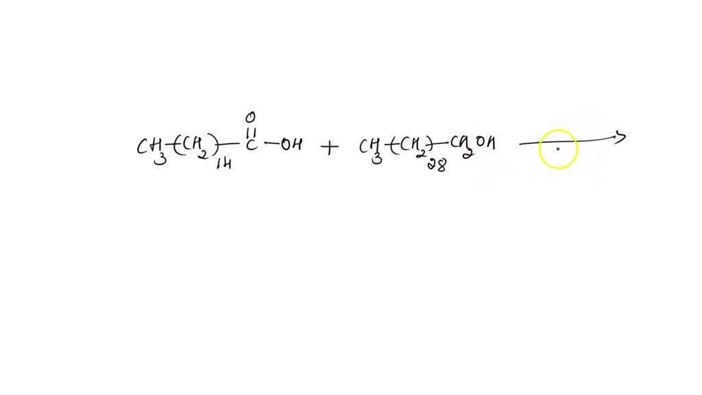 SOLVED When palmitic acid, a 16carbon saturated fatty acid, reacts