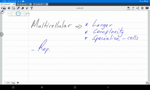 describe-the-advantages-of-multicellularity-96151