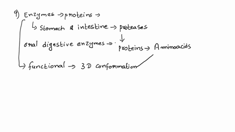 manv-health-food-stores-crry-enzyme-preparations-that-are-intended-to-be-ingested-orally-y-mouth-supplement-existing-enzymes-in-various-organs-like-the-liver-heart-and-muscle-use-your-knowle-98295
