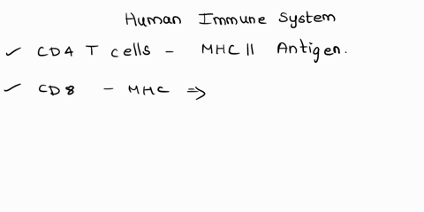 which-of-the-following-is-true-concerning-the-human-immune-system-group-of-answer-choices-cd4-t-cells-typically-bind-to-mhc-ii-antigens-the-primary-lymphoid-tissues-are-the-bone-marrow-and-t-27539