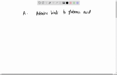 consider-the-interaction-of-an-alpha-helical-protein-with-a-segment-of-duplex-dna-in-the-b-form-a-at-ph-70-which-molecular-groups-of-either-at-or-gc-base-pairs-in-the-major-groove-could-a-gl-88754