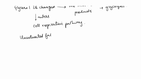 12-fermentation-lipid-catabolism-and-proleln-catabolism-are-all-types-of-alternatives-to-carbohydrale-catabolism-describe-the-specific-details-of-these-three-alternatives-in-the-context-of-t-09708