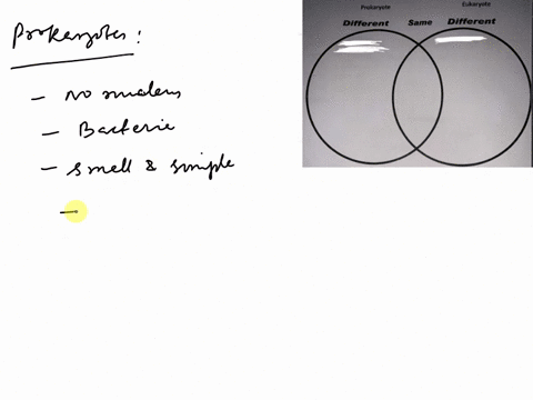 prokaryote-and-eukaryote-prokaryote-eukaryote-different-same-different-word-bank-cells-have-jnucleus-bacteria-have-cell-membrane-small-and-simple-can-be-unicellular-multicellular-all-are-uni-83933