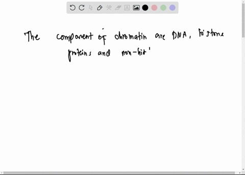 choose-the-correct-statement-about-chromatin-a-the-components-of-chromatin-are-dna-histone-rnas-non-histone-proteins-because-of-chromatin-eukaryotes-must-remodel-chromatin-to-expose-gene-to-51212