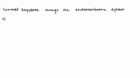 what-is-the-correct-sequence-through-the-endomembrane-system-rough-er-transition-vesicles-ribosomes-golgi-complex-transport-vesicles-carly-endosome-late-endosome-lysosome-golgi-complex-ribos-72544