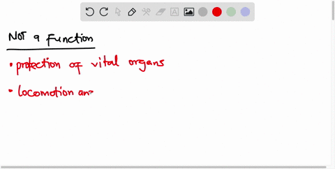 which-of-the-following-is-not-a-function-of-the-skeletal-system-group-of-answer-choices-protection-of-vital-organs-locomotion-and-support-storage-of-inorganic-salts-all-of-the-above-are-func-92588