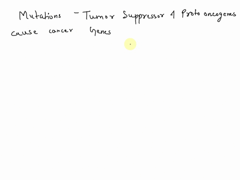 question-33-mutations-in-tumor-suppressor-genes-and-in-proto-oncogenes-can-result-in-cancer-if-both-are-mutated-cell-division-will-increase_-the-cell-will-undergo-apoptosis_-dna-damage-will-90156