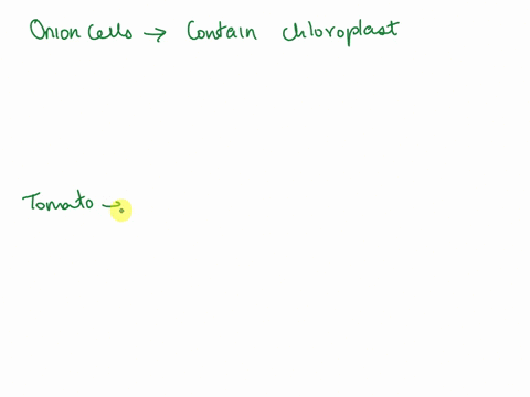 how-are-tomato-pulp-cells-similar-and-different-to-onion-cells-please-help-37373