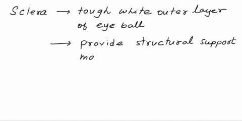 17biol155-vision-what-is-the-scleras-function-ait-maintains-the-shape-and-rigidity-of-the-eyeball-and-attaches-to-the-extrinsic-eye-muscles-bit-adapts-the-lens-shape-to-focus-light-for-objec-54023