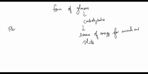 question-4-in-which-form-is-glucose-stored-in-animals-glycogen-glucose-cellulose-starch-31585