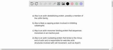 actin-binding-proteins-can-modify-the-properties-of-actin-you-purify-an-actin-binding-protein-called-abp-you-examine-the-effect-of-abp-on-actin-polymerization-by-measuring-the-rate-of-in-vit-50247