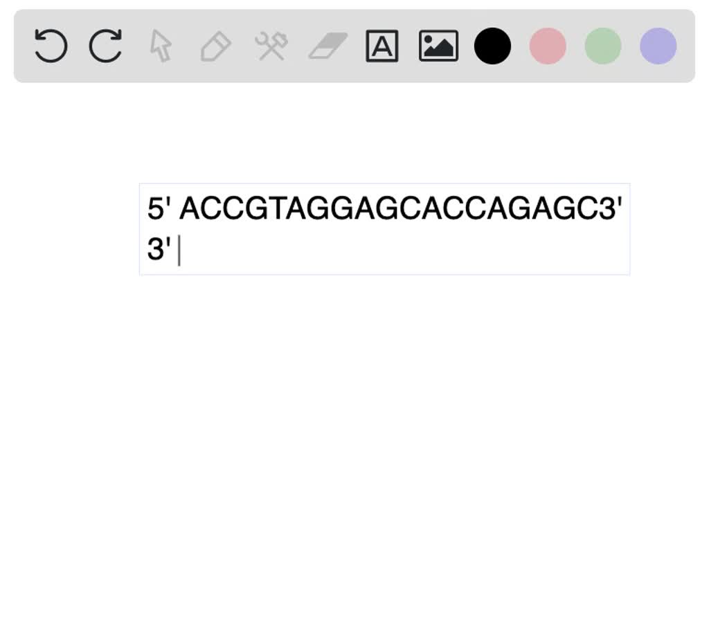 SOLVED: Draw The Complementary Strand To The Following DNA Sequence ...