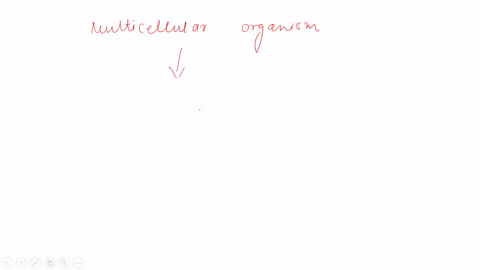 in-multicellular-organisms-the-cell-cycle-produces-groups-of-cells-that-perform-the-same-function-what-are-these-groups-of-cells-called-84422