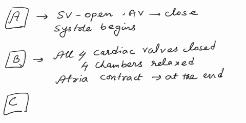 match-the-following-terms-describing-the-physicalmecahnical-events-with-the-correct-phases-of-the-cardiac-cycle-each-phase-may-be-used-more-than-once-question-selected-match-all-4-cardiac-va-60082
