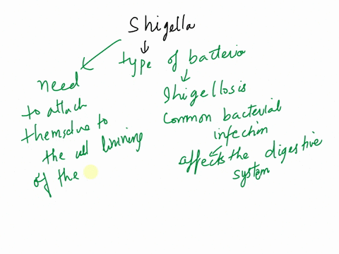 a-strain-of-shigella-has-a-mutation-causing-it-to-lose-the-ability-to-produce-fimbriae-and-become-less-virulent-as-a-consequence-what-function-has-this-pathogen-lost-the-ability-to-move-from-87806