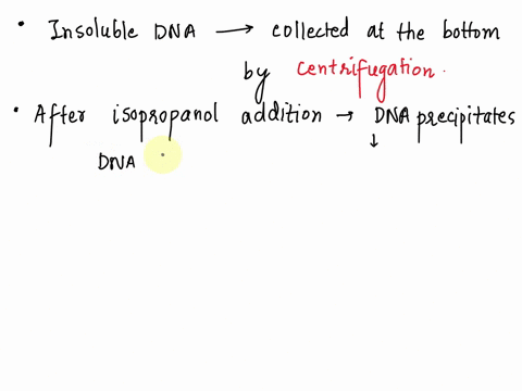addition-of-isopropanol-caused-the-dna-to-become-insolublehow-was-the-insoluble-dna-collected-at-the-bottom-of-the-tube-dna-is-soluble-in-water-because-it-is-negatively-chargedlook-at-a-pict-13381