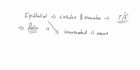 epithelial-tissues-are-highly-cellular-and-very-vascular-have-lots-of-blood-vessels-true-false-51992