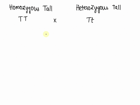 in-certain-pea-plants-the-allele-t-for-tallness-is-dominant-over-t-for-shortness_-if-a-homozygous-tall-and-a-heterozygous-tall-plant-are-crossed-what-will-be-the-genotype-and_phenotype-of-th-59824