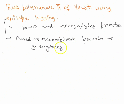 explain-how-the-subunits-of-rna-polymerase-ii-of-yeast-were-identified-using-epitope-tagging-69452