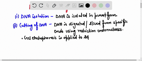 describe-the-steps-in-forming-a-recombinant-dna-molecule-there-is-more-than-one-way-to-go-about-this-77249
