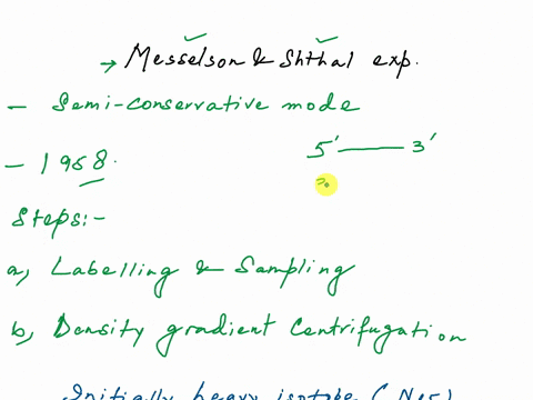 describe-why-before-meselson-and-stahls-experiment-ihe-conservative-mode-of-replication-was-favored-94466